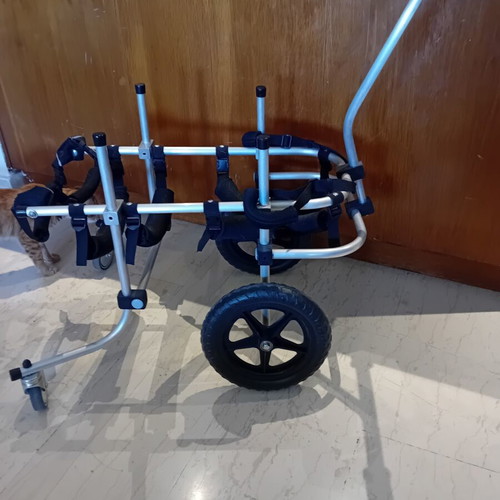 Dog wheelchair for 20-25 kg, like new