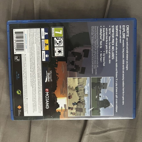 Minecraft PS4 game