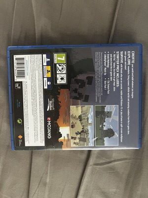 Minecraft PS4 game