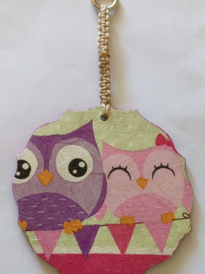 Decorative Owl Frame new