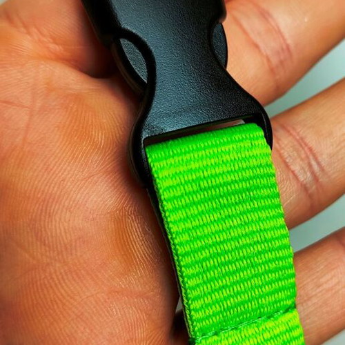 About Basics 2004 lanyard new, green