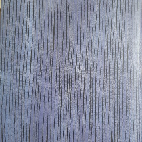 The 13 1/2 Lives of the Blue Bear hardcover book new