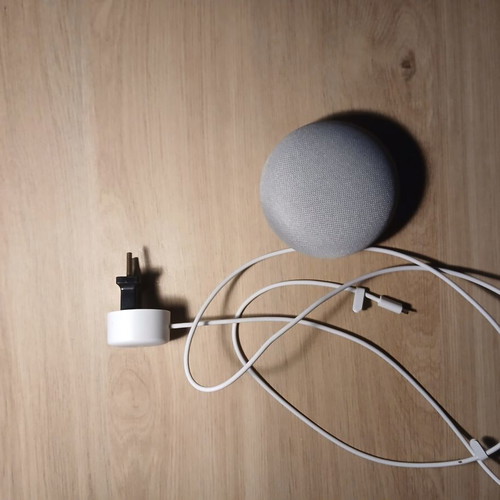 Google Home Mini assistant