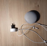 Google Home Mini assistant