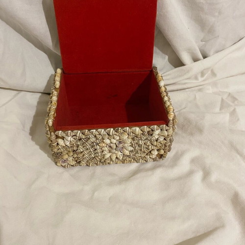 Jewelry storage box new, shell with beige velvet