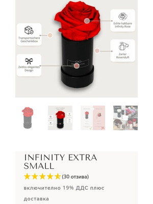 Infinity Extra Small new eternal rose