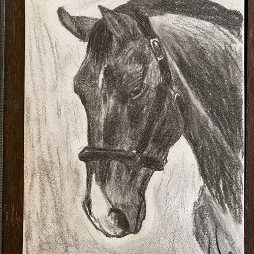 Horse charcoal drawing new, size A5