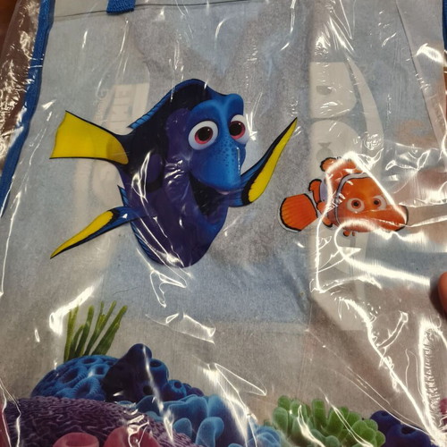 Dory Beach Bag new