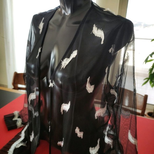 Sheer black vintage top with embroidery, like new