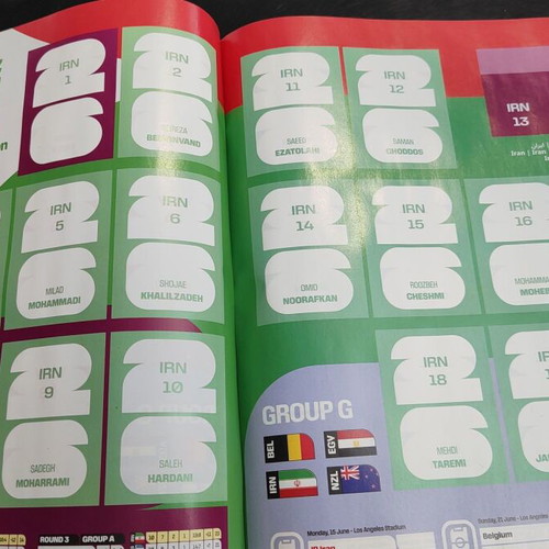 Panini FIFA World Cup 2026 Sticker Album new with 6 stickers