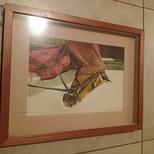 3D embossed horse painting like new, made in Italy