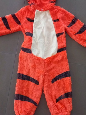 Carnival costume like new, for 2-3 years old
