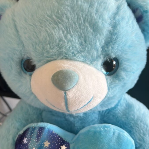 Blue pentamorfo teddy bear like new for play