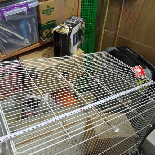 Birdcage used 60x40x40 with perches, waterers and feeders