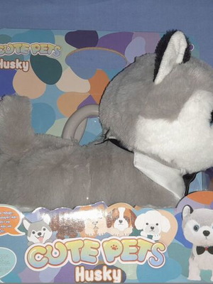 Cute Pets Husky new, gray with 80 cm leash