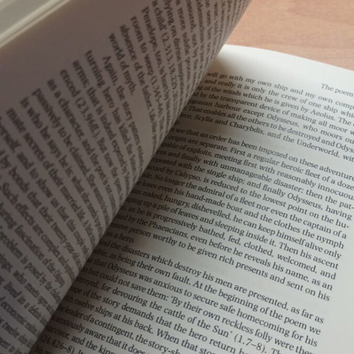 Homer The Odyssey Second Edition book like new