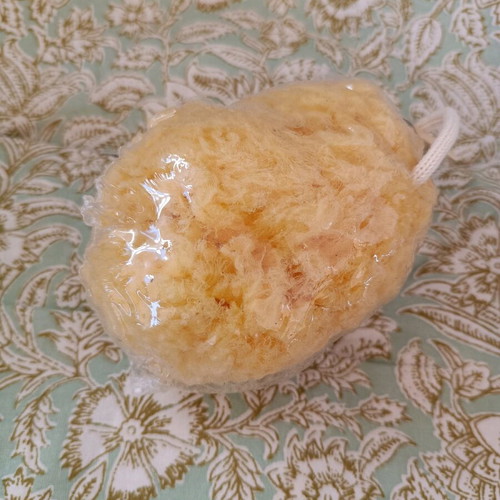 Natural sponge new