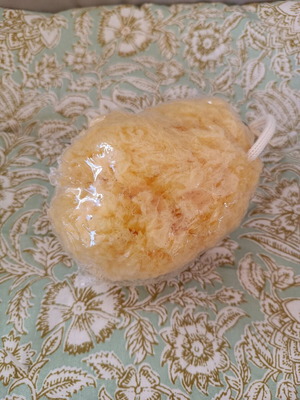 Natural sponge new