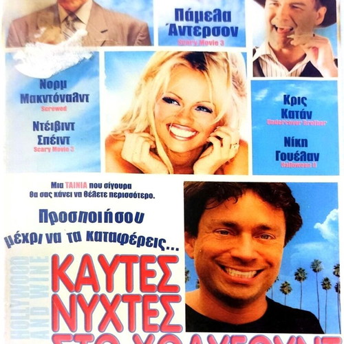 Hollywood and Wine DVD used comedy with subtitles