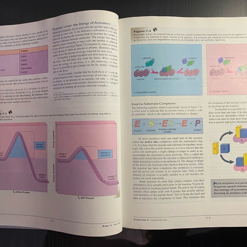 Biology books by Sylvia S. Mader and art notebook new