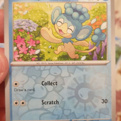 Water Holo Pokemon Cards new, pack with Carracosta, Tirtouga, Palpitoad