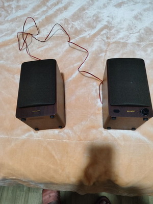 Sharp CP-SS30 Powered Bookshelf Speaker like new with Bluetooth 60W