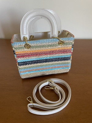 Summer Handbag crossbody multicolor new