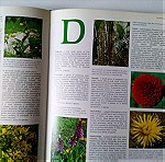  Popular Encyclopedia Plant, Heywood