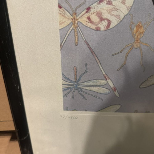 Alice Cooper Welcome to Nightmare Lithograph signed, like new