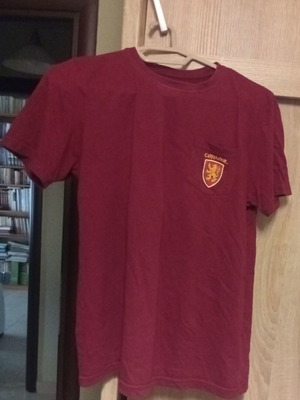 Harry Potter Gryffindor Παιδικό T-shirt Μέγεθος 158/164 Σαν καινούργιο
