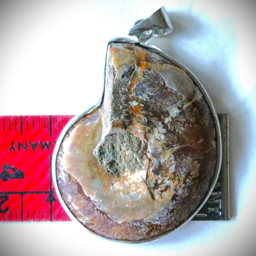 Fossil pendant 10,000 years old, handmade, 925 sterling silver