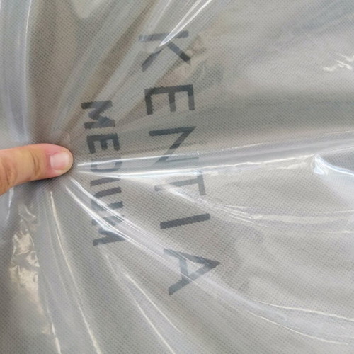 Kentia Sueno Medium Pillow New