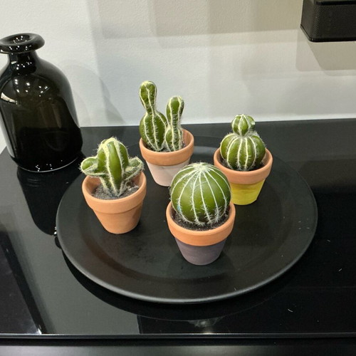 Set of 4 decorative cacti in small pots like new