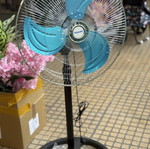 Table fan new