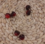 Cherry earrings new, red and gold color