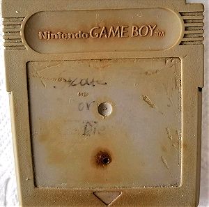 Nintendo GameBoy Scate or Die Bad 'n Rad