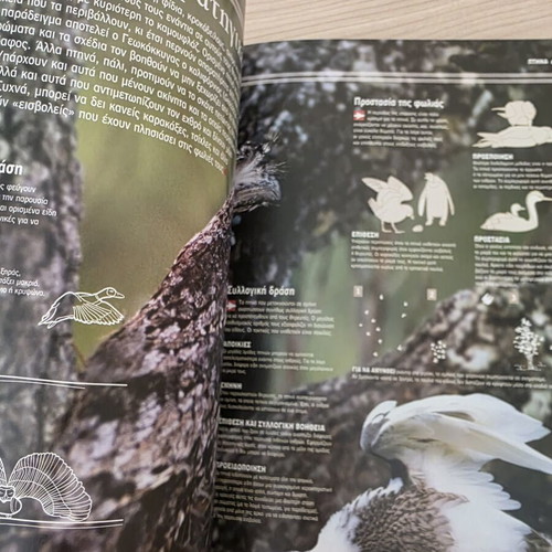 Atlas of Sciences Birds illustrated guide like new