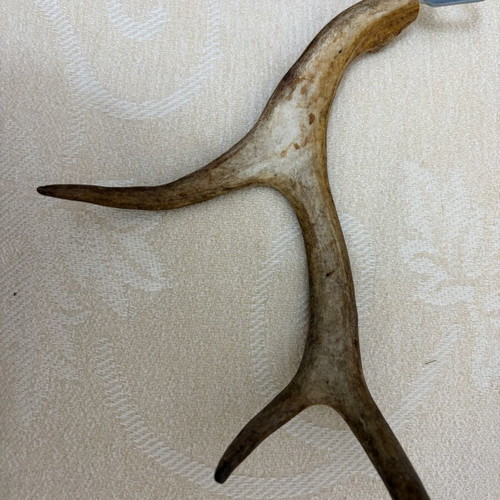 Bottle opener made of deer antler like new