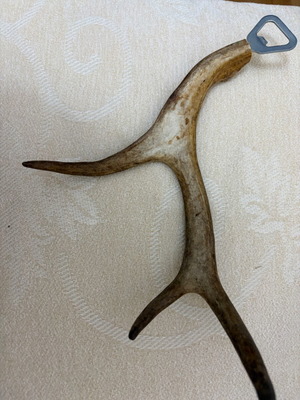 Bottle opener made of deer antler like new