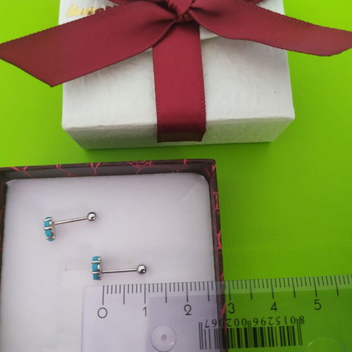 925 silver earrings used with turquoise color