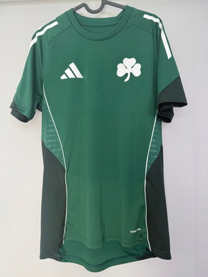 Panathinaikos training shirt 2025-26, medium