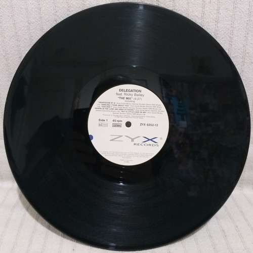 Delegation Feat. Ricky Bailey The Mix vinyl single used, 1989, Germany