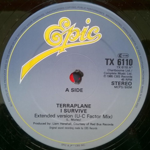 Terraplane single I Survive like new, rock