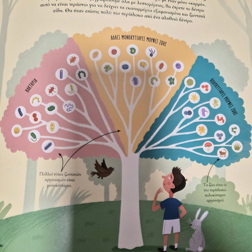 The Journey of Life - The Wonderful Evolution children's knowledge book