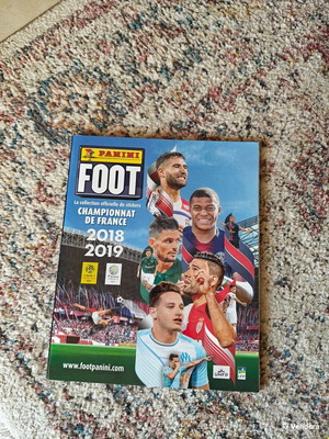 Panini Foot 18-19 sticker album