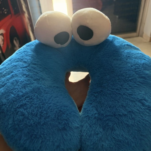Travel pillow Sesame Street like new