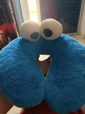 Travel pillow Sesame Street like new