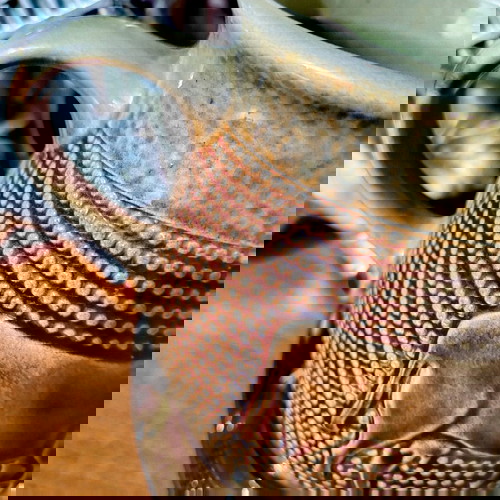 Marzi & Remy Westerwald млечник керамика като ново