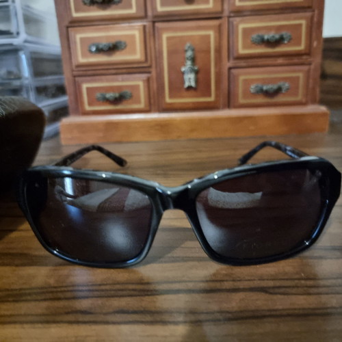 Fiorelli sunglasses elegant for all styles