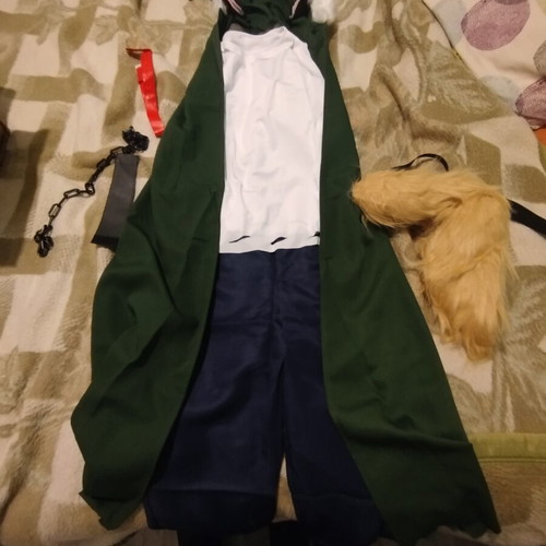 Carnival costume new